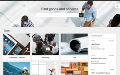 Making SAP Ariba procurement simple and accessible